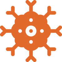 Immune System Stress